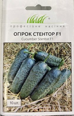 Огірок Стентор F1 /10шт/ Професійне насіння