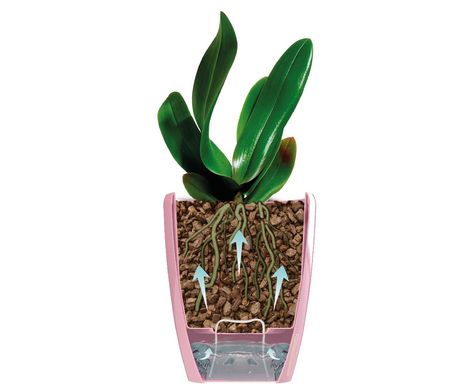 Вазон с автополивом Орхидея TWIN антрацит 2 л