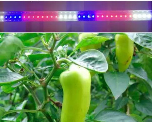 Фито лампа для выращивания рассады 60см 9Вт Е8 48D (красный-синий- белый спектр)