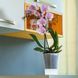 Горшок для орхидей Santino Arte 1,2л