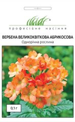 Вербена крупноквіткова Абрикосова /0,1г/ Професійне насіння.