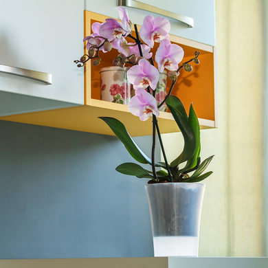 Горшок для орхидей Santino Arte 2л