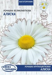 Ромашка крупноквіткова Аляска /5г/ Насіння України
